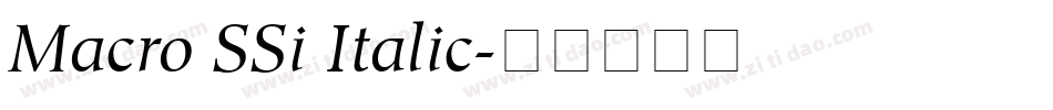 Macro SSi Italic字体转换